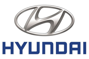 COMBO CỬA CUỐN 31